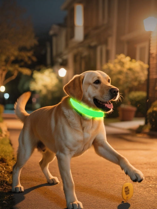 Syns i mörkret – LED-halsband